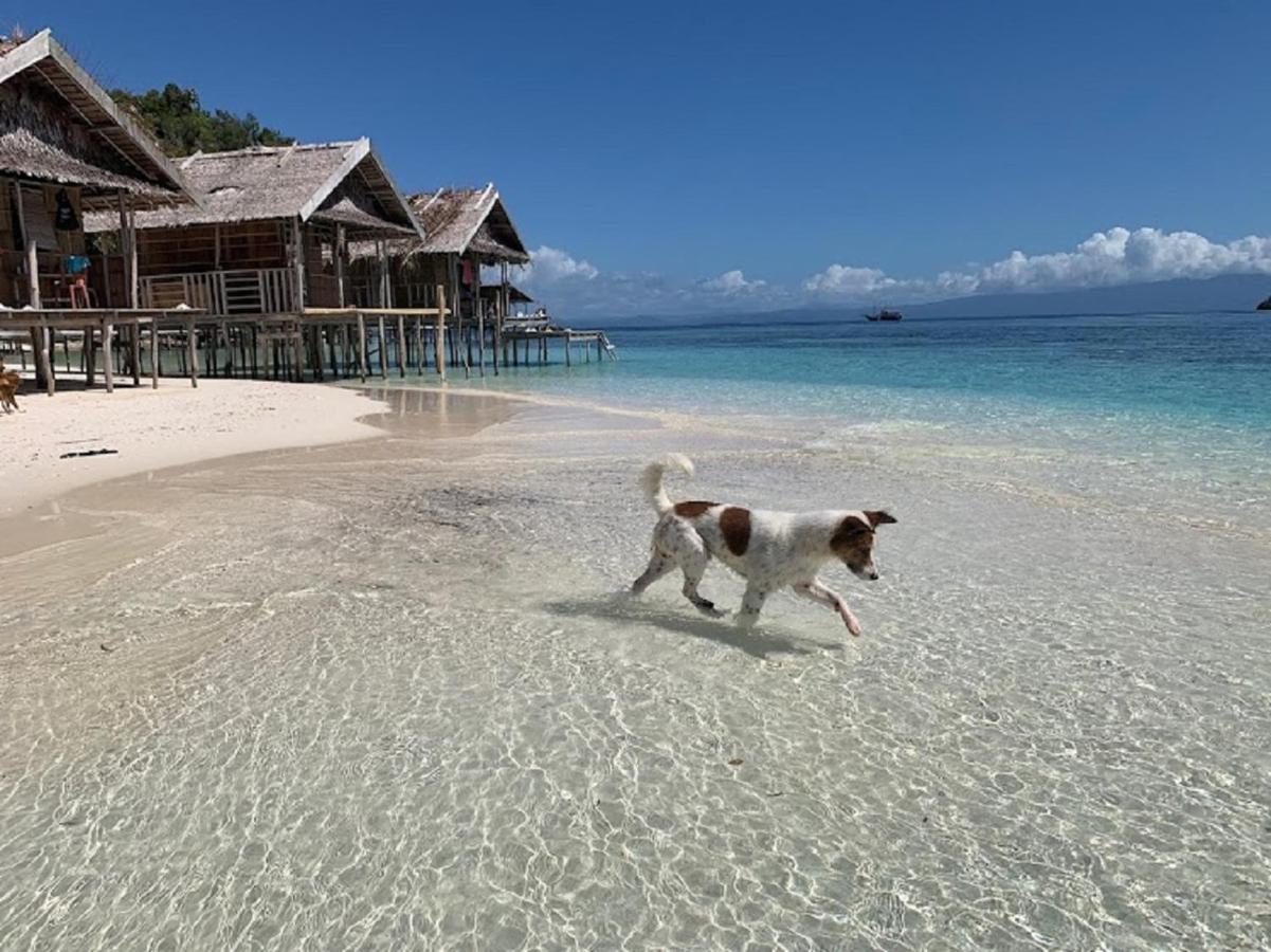 Nus Homestay Raja Ampat Kri Exteriör bild